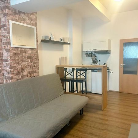 Zizkov Cosy Studio Apartments Praga Zewnętrze zdjęcie